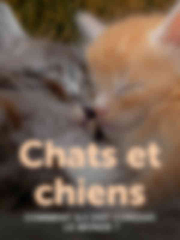 Poster du programme Comment le chien a conquis le monde