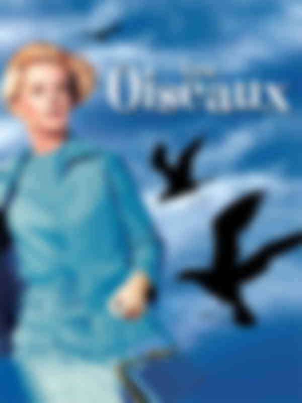 Poster du programme Les oiseaux