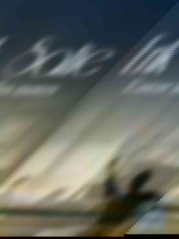 Poster du programme Erik Satie, entre les notes