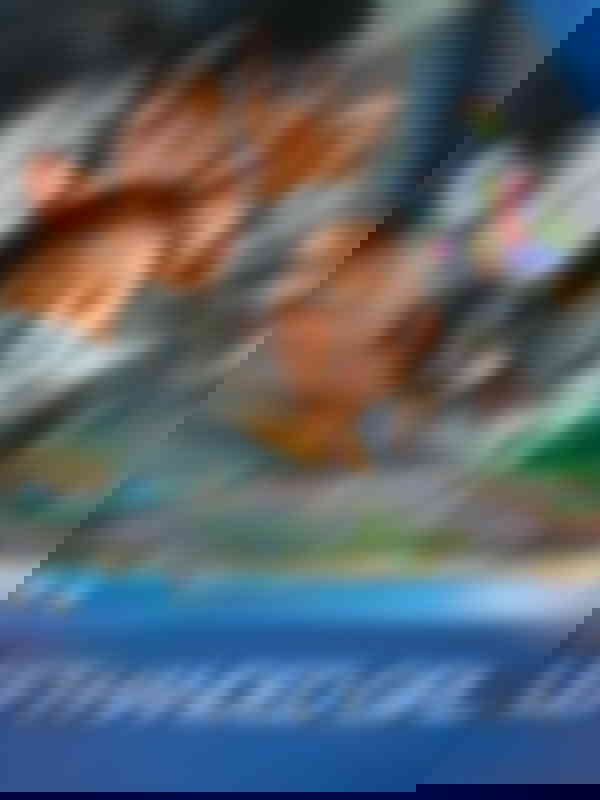 Poster du programme Left-Handed Girl