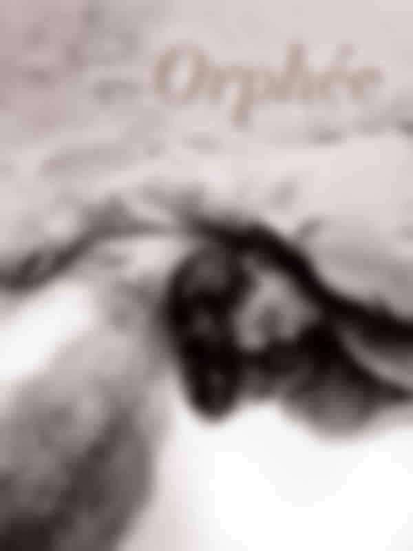 Poster du programme Orphée