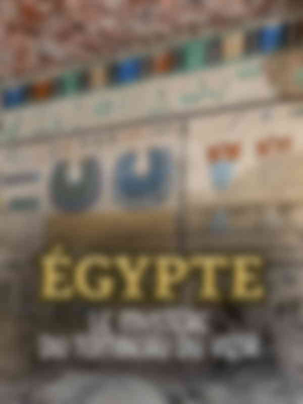 Poster du programme Égypte, le mystère  du tombeau du vizir