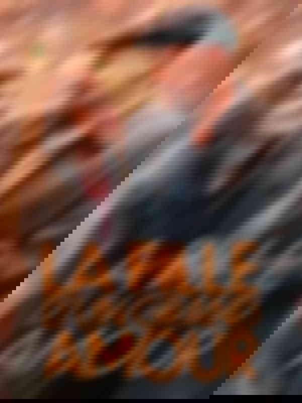 600x800