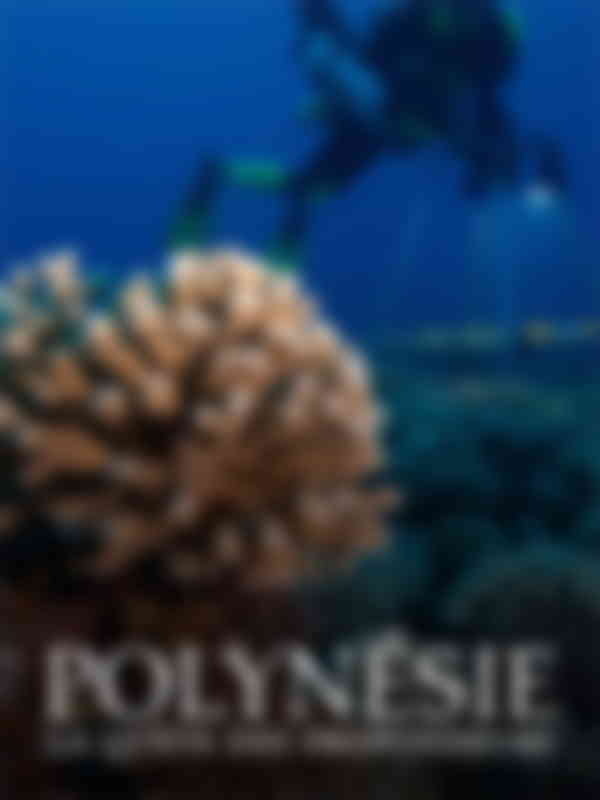 Poster du programme Polynésie : la quête des profondeurs