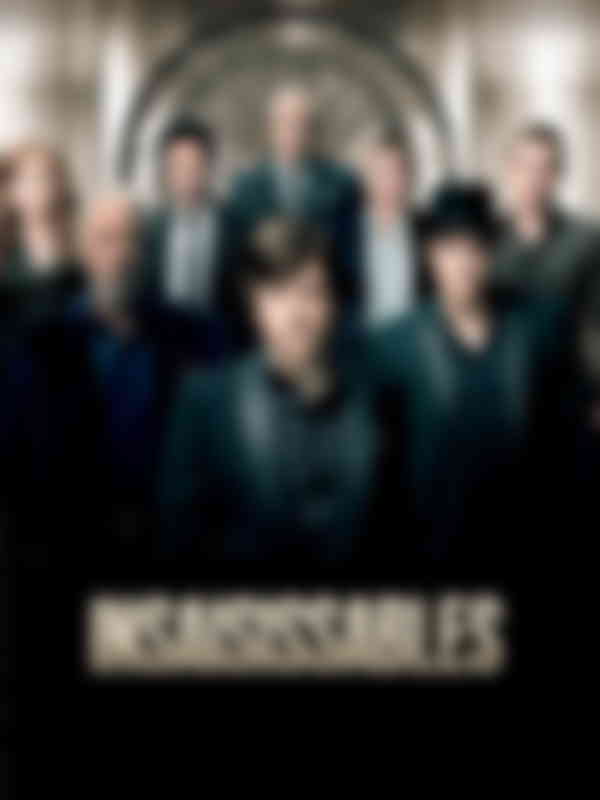 Poster du programme Insaisissables