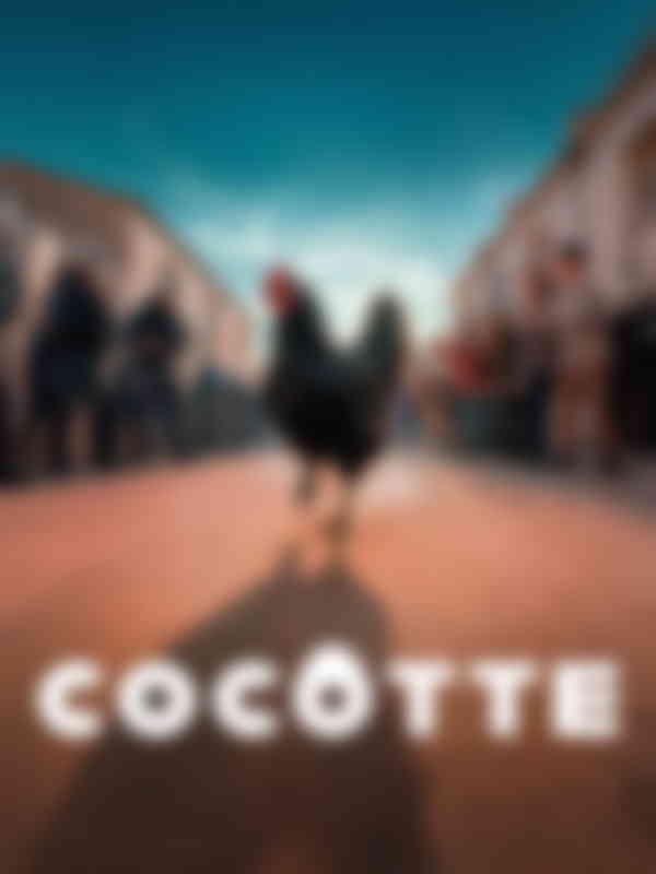 Poster du programme Cocotte