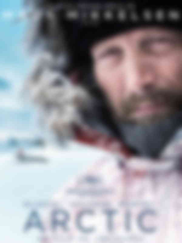 Poster du programme Arctic