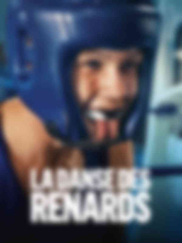 Poster du programme La danse des renards