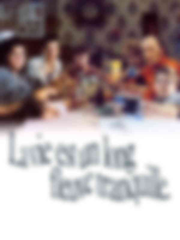 Poster du programme La vie est un long fleuve tranquille