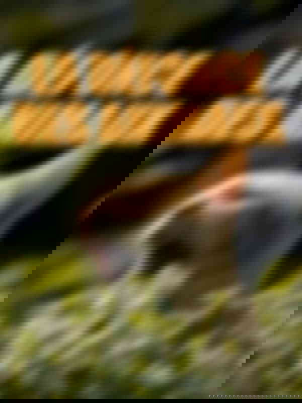 Poster du programme La défonce des animaux