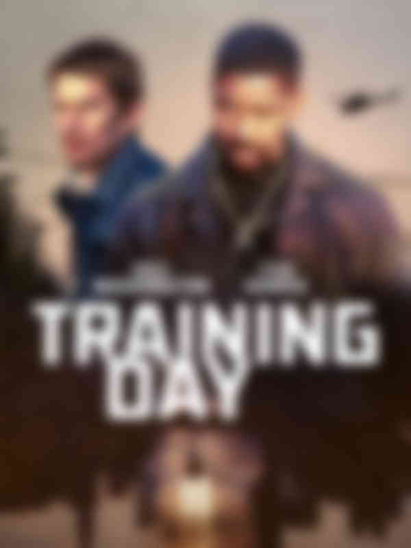 Poster du programme Training Day