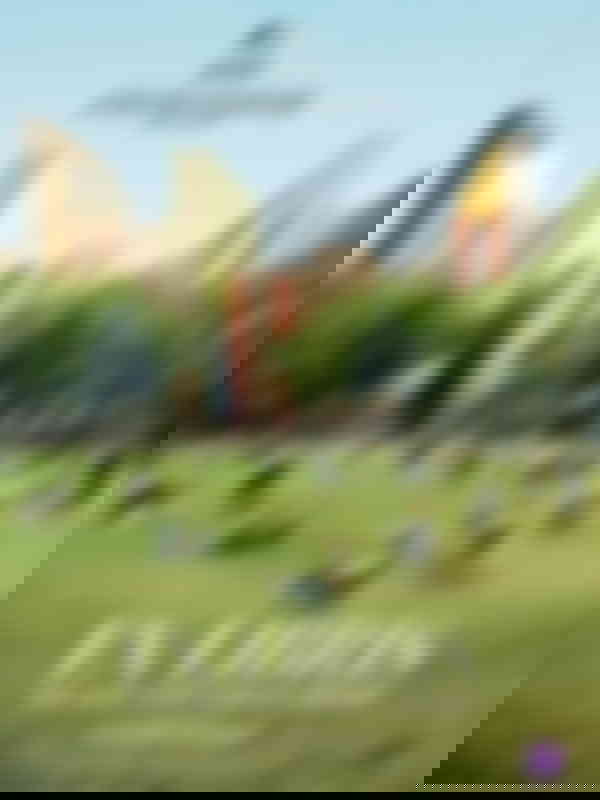 Poster du programme Ex Libris : The New York Public Library