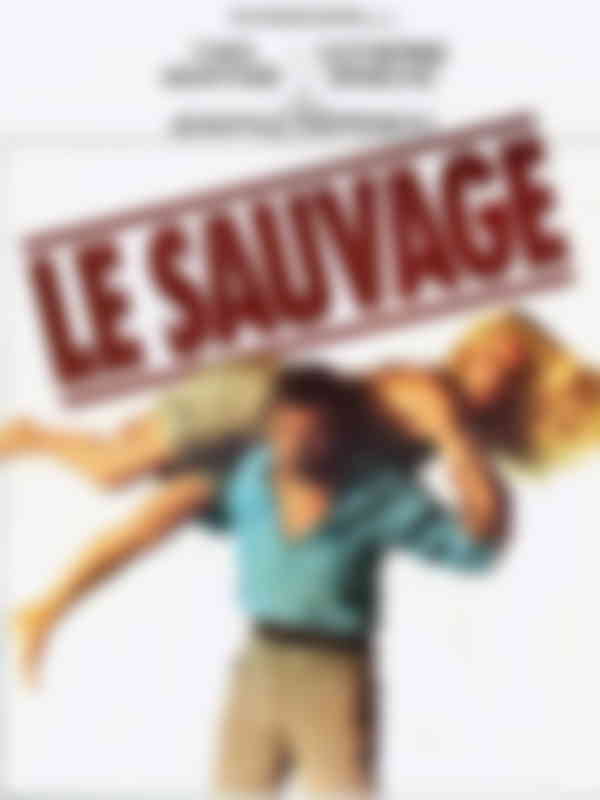 Poster du programme Le sauvage
