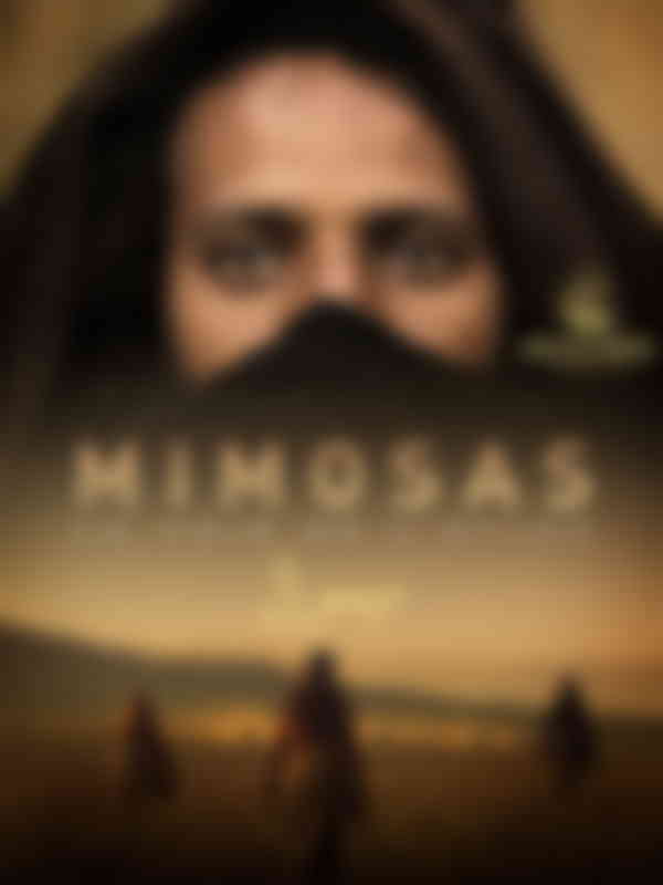Poster du programme Mimosas, la voie de l'atlas