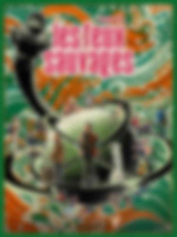 Affiche du film "Les feux sauvages"