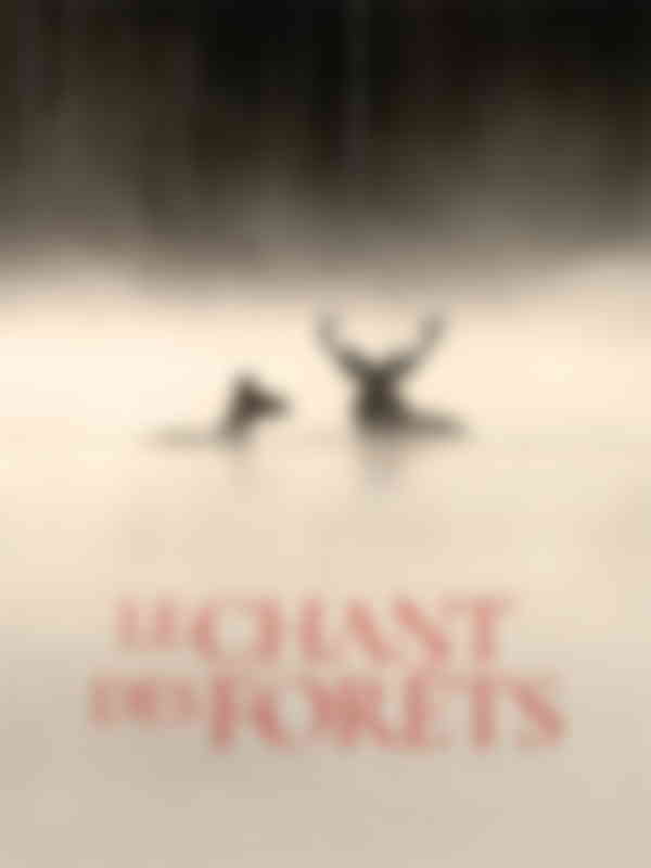 Poster du programme Le chant des forêts