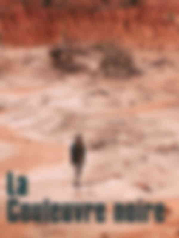 Poster du programme La couleuvre noire