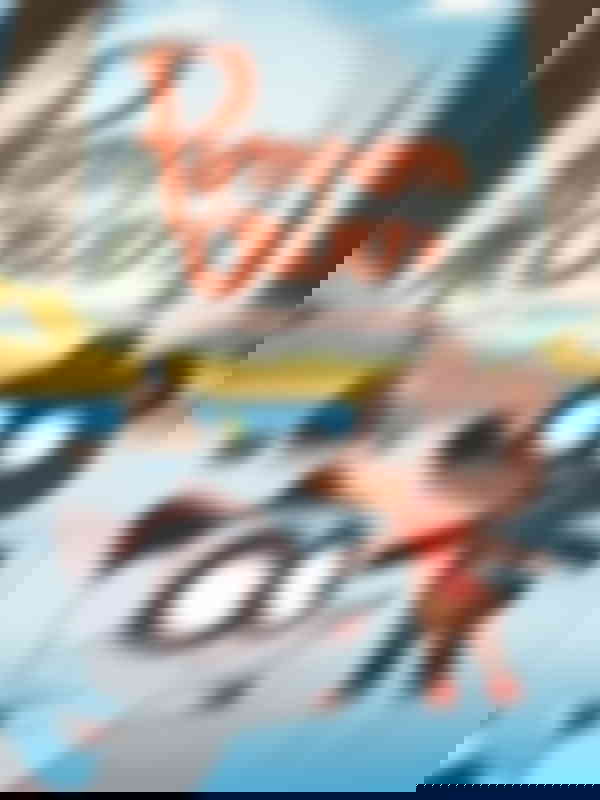 Poster du programme Pompon Ours : les saisons enchantées