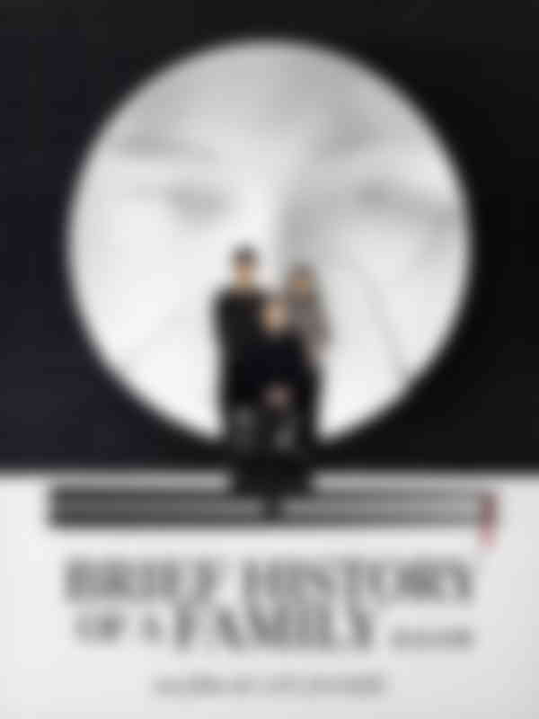 Poster du programme Brief History of a Family