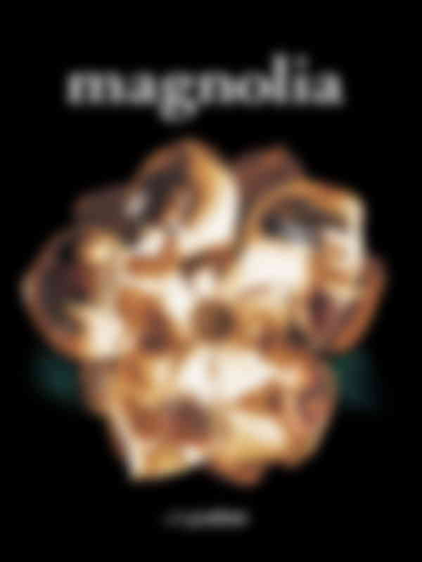 Poster du programme Magnolia