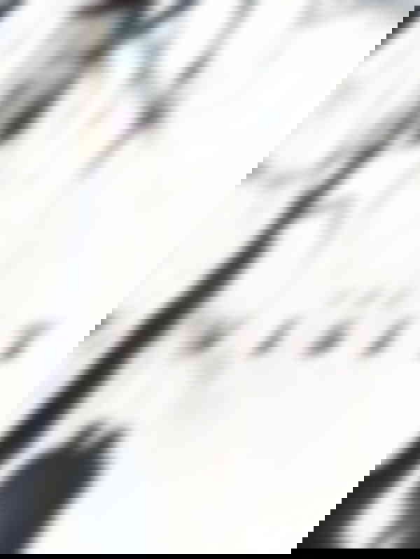 Poster du programme The Visit